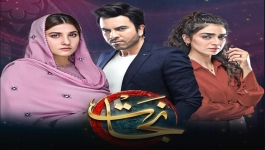 Nijaat - Last Episode - 17th April 2024